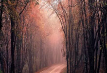 tk体育：津媒：国足阵容极度不整，但3月两场18强赛拿4分的目标不变.