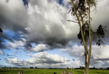 tk体育：西部第2+防守第1，还有人黑湖人四手连摊？.