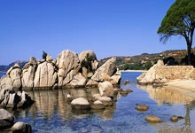 太阳报：哈兰德将斥资400万镑购买布加迪限量超跑Tourbillons.